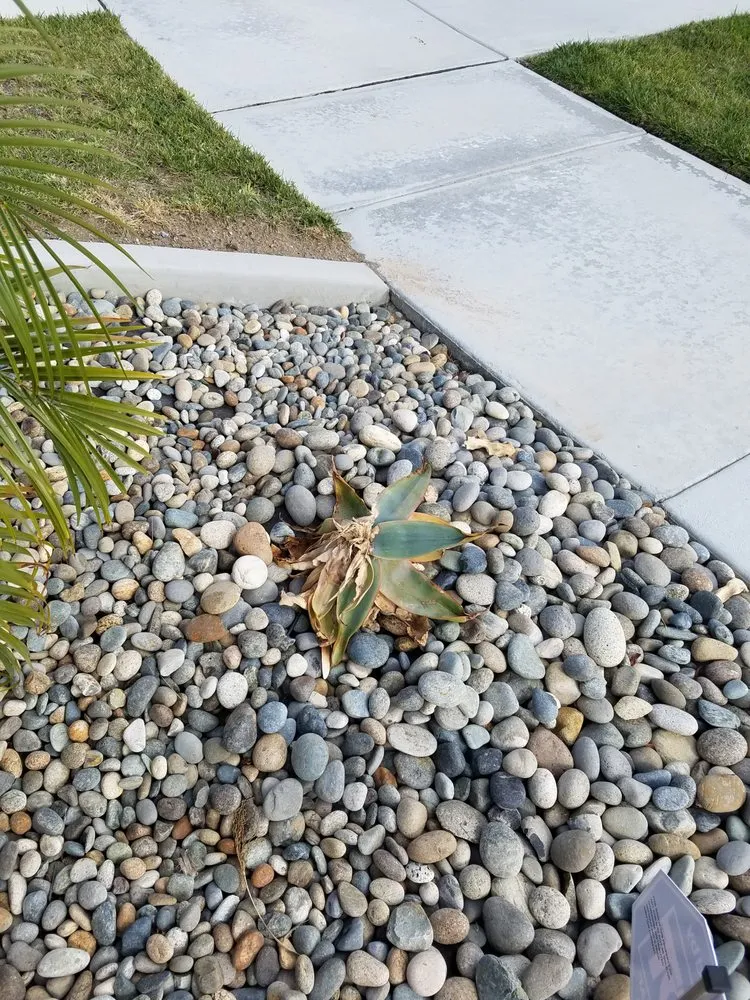 Custom outdoor landscaping in Coronado, CA by San Diego Landscape Solutions