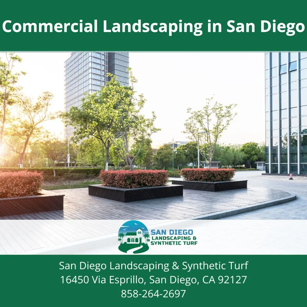 Reliable lawn care service experts serving San Diego, CA - San Diego Landscaping & Synthetic Turf