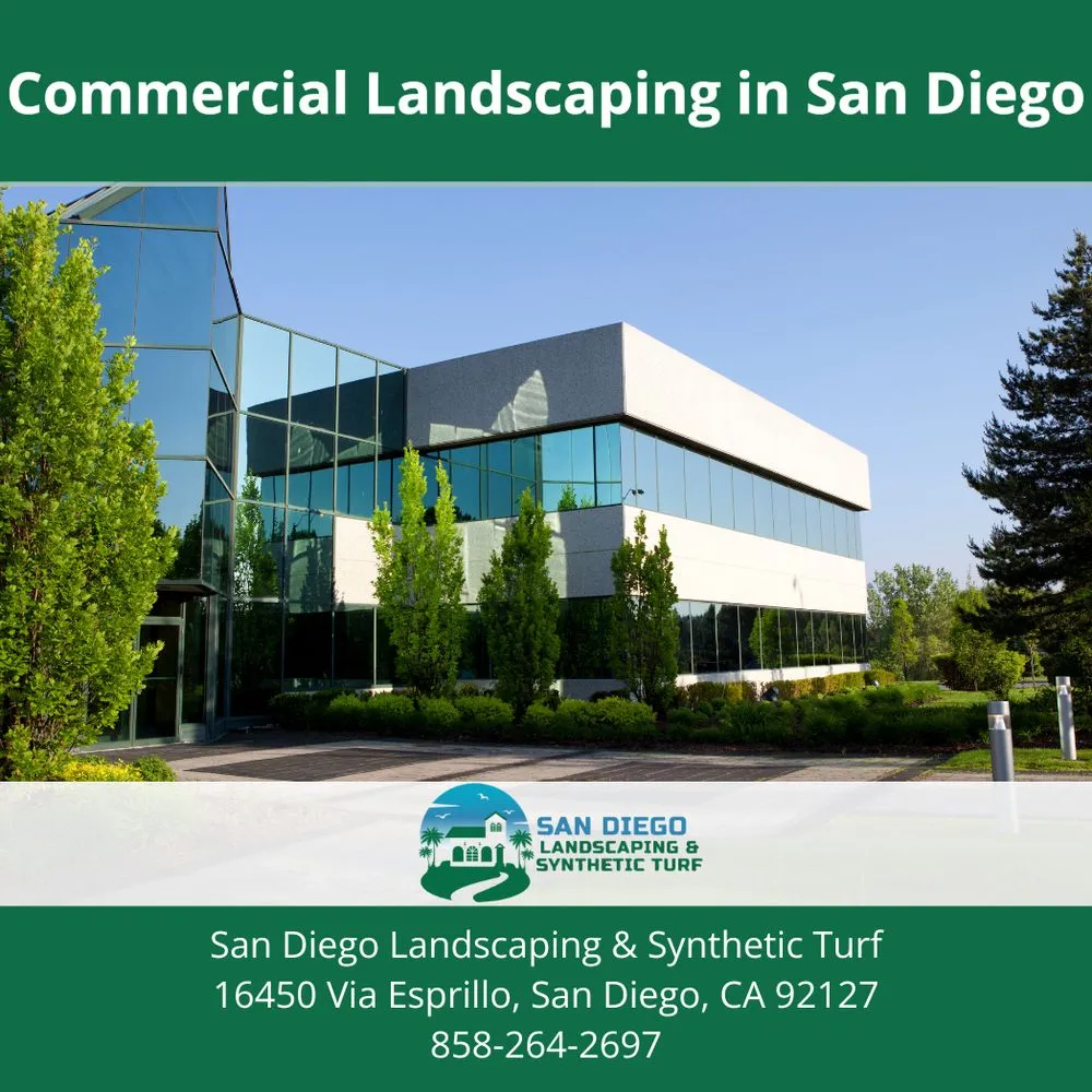Custom yard cleanup service with custom design across San Diego, CA - San Diego Landscaping & Synthetic Turf