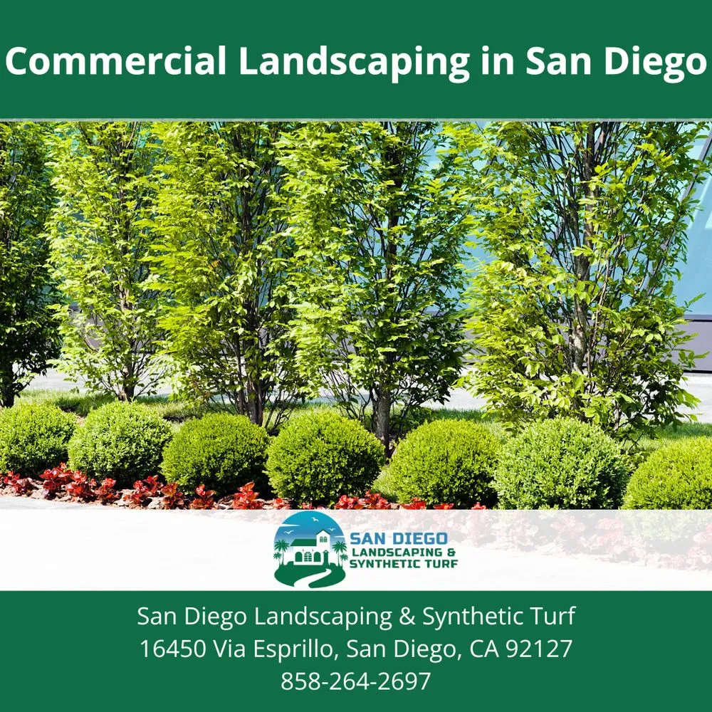 Professional outdoor landscaping experts serving San Diego, CA - San Diego Landscaping & Synthetic Turf
