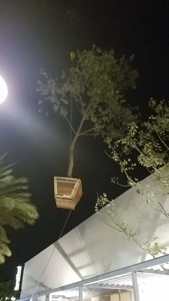 Top-rated garden landscaping for beautiful yards in San Diego, CA by San Diego Landscaping