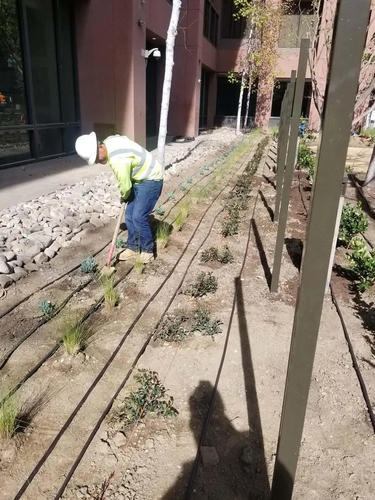 Local outdoor landscaping in San Diego, CA - San Diego Landscaping