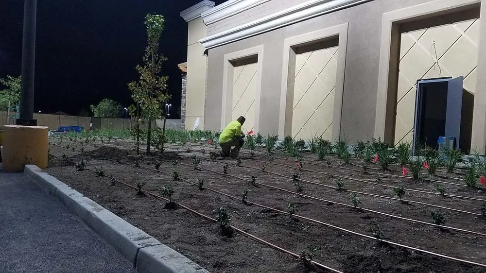 Local lawn care service in San Diego, CA - San Diego Landscaping