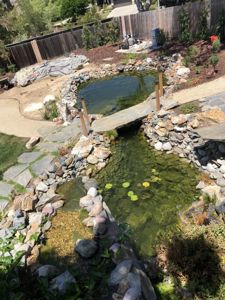 Trusted yard cleanup service with custom design in Oceanside, CA by San Diego Pond & Dreamscapes