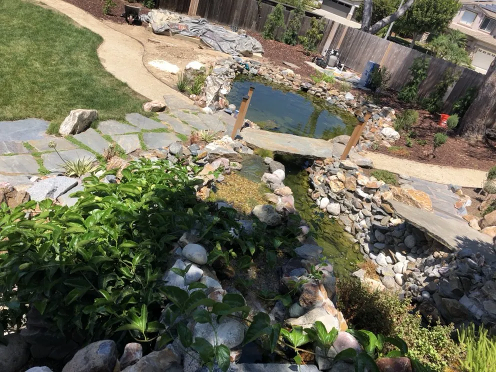 Reliable garden landscaping with custom design in Oceanside, CA by San Diego Pond & Dreamscapes