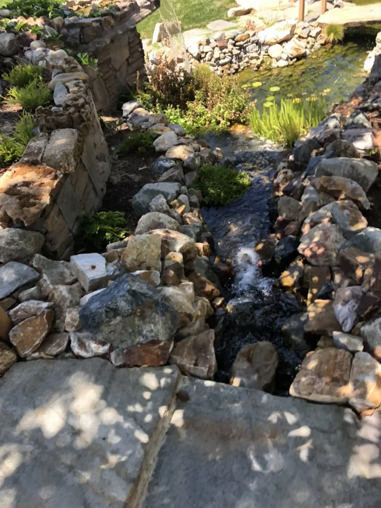 Custom residential landscaping in Oceanside, CA - San Diego Pond & Dreamscapes
