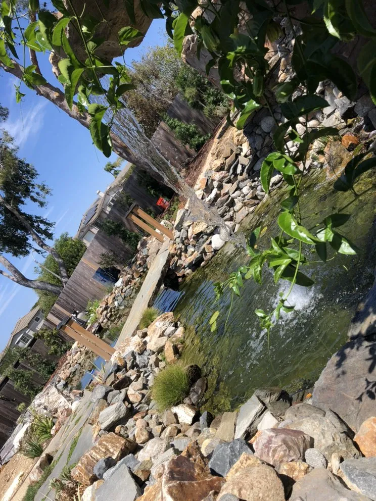 Affordable yard cleanup service in Oceanside, CA - San Diego Pond & Dreamscapes