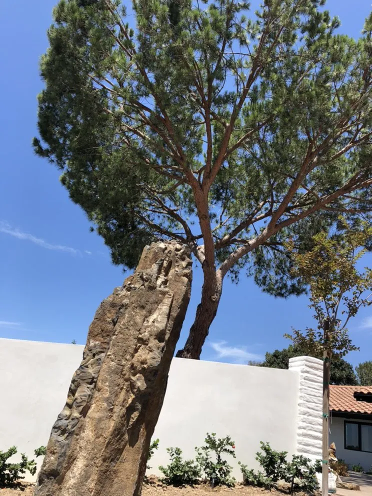 Trusted yard cleanup service near you in Oceanside, CA by San Diego Pond & Dreamscapes