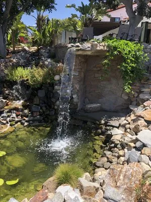 San Diego Pond & Dreamscapes Logo