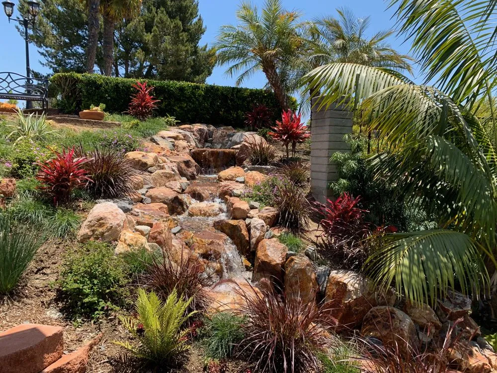 Trusted residential landscaping for year-round maintenance across Oceanside, CA - San Diego Ponds | Koi Pond Installer