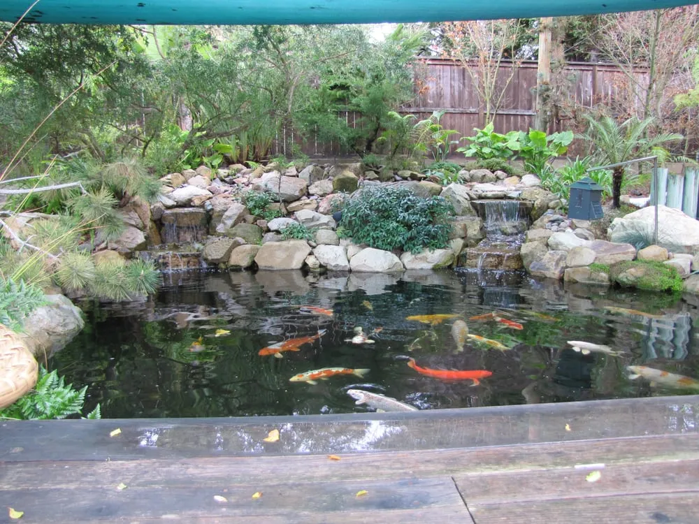 Expert landscaping services for year-round maintenance across Oceanside, CA - San Diego Ponds | Koi Pond Installer