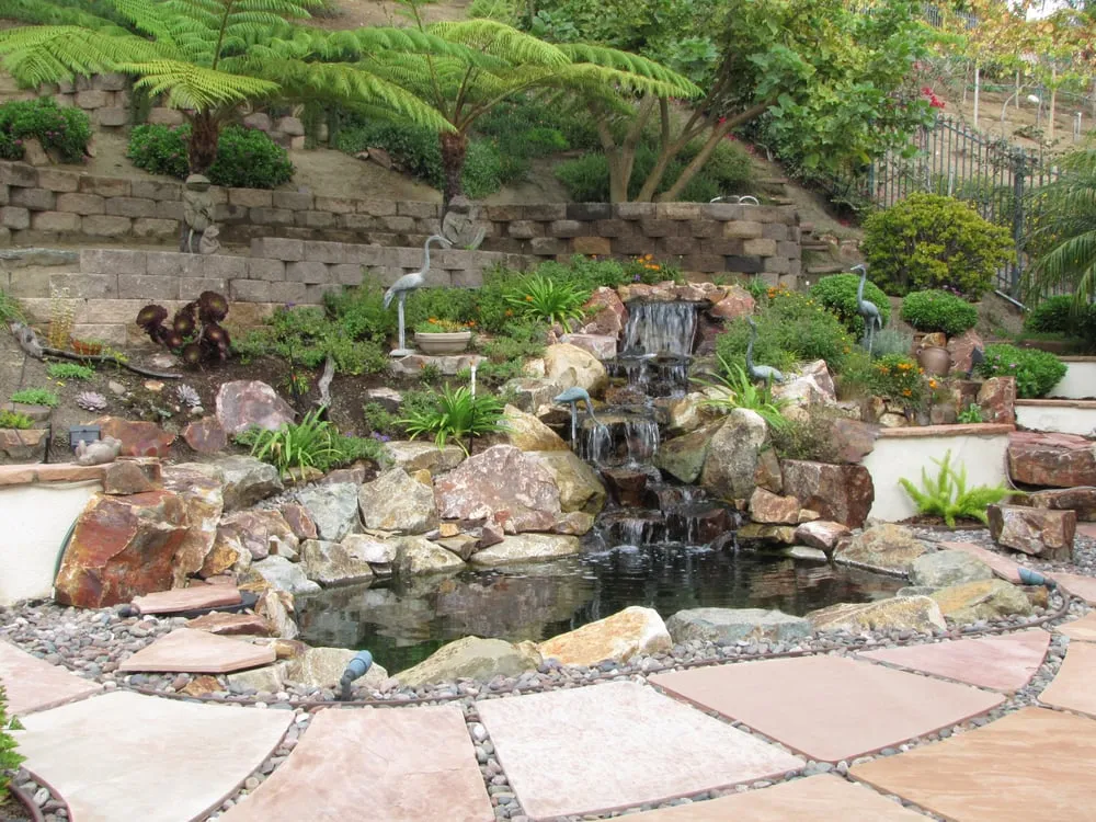 Top-rated yard cleanup service experts serving Oceanside, CA - San Diego Ponds | Koi Pond Installer