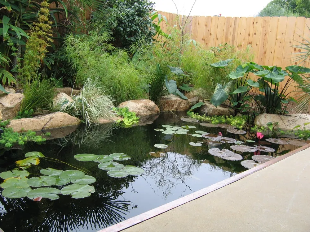 Local outdoor landscaping experts serving Oceanside, CA - San Diego Ponds | Koi Pond Installer