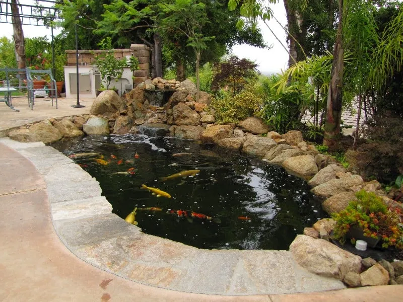 Custom outdoor landscaping with custom design across Oceanside, CA - San Diego Ponds | Koi Pond Installer