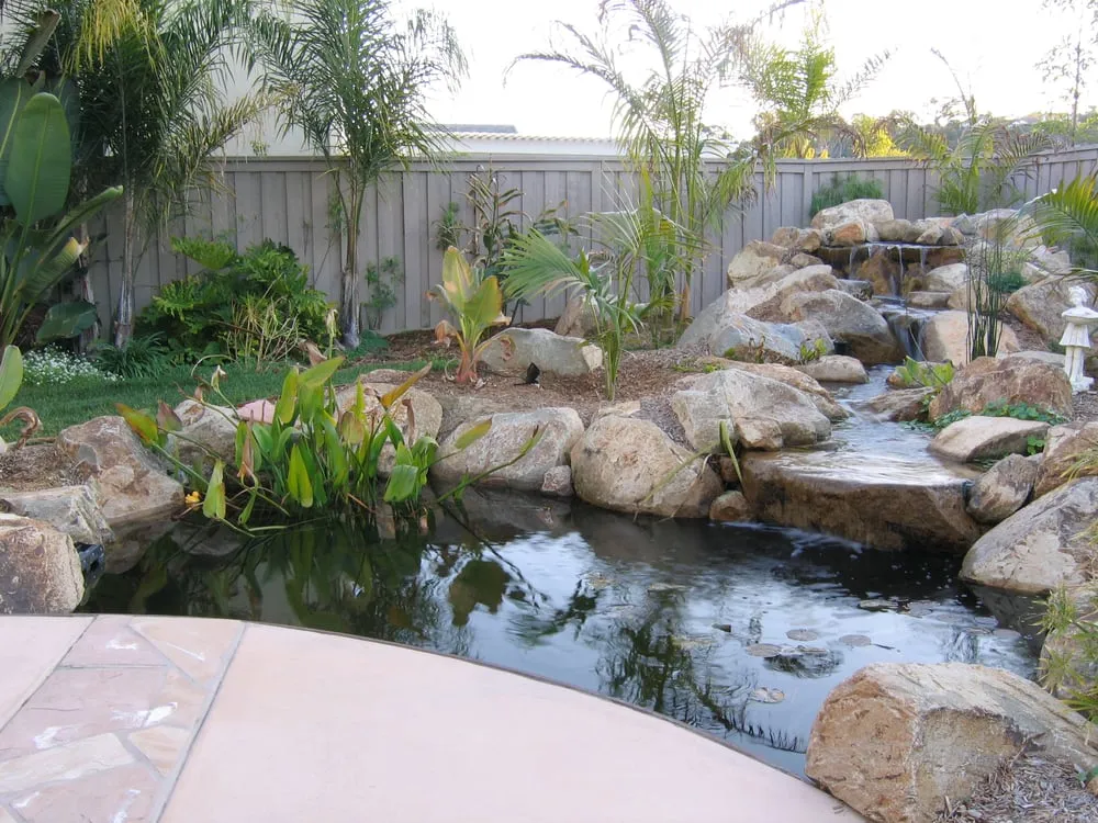 Custom yard maintenance for year-round maintenance across Oceanside, CA - San Diego Ponds | Koi Pond Installer