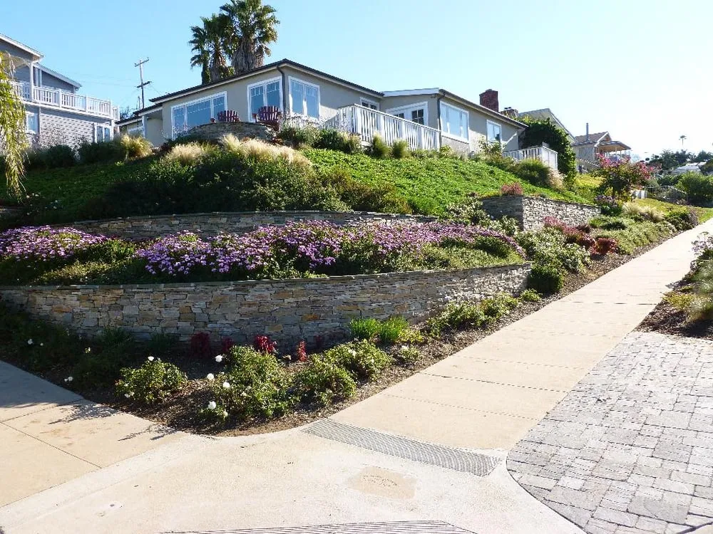 Reliable yard maintenance experts serving San Diego, CA - San Diego Scape and Maintenance