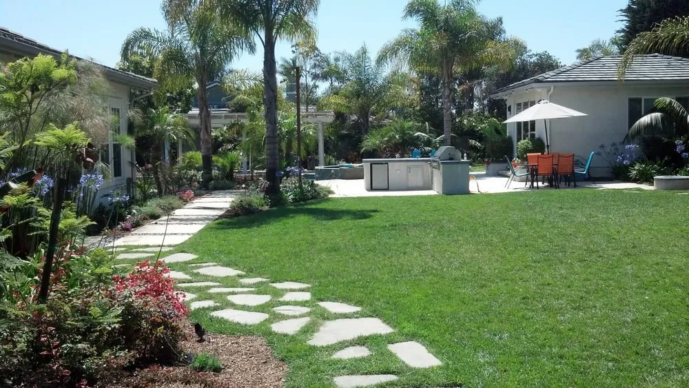 Top-rated yard cleanup service for beautiful yards across San Diego, CA - San Diego Scape and Maintenance