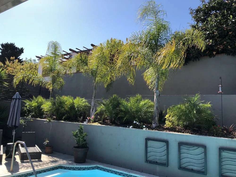 Local landscaping services in San Diego, CA by San Diego Scape and Maintenance