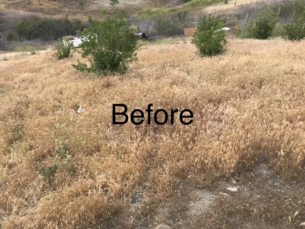 Top-rated outdoor landscaping in Fallbrook, CA by San Diego Weed Mowing
