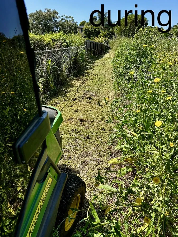 Trusted lawn mowing service for beautiful yards in Fallbrook, CA by San Diego Weed Mowing