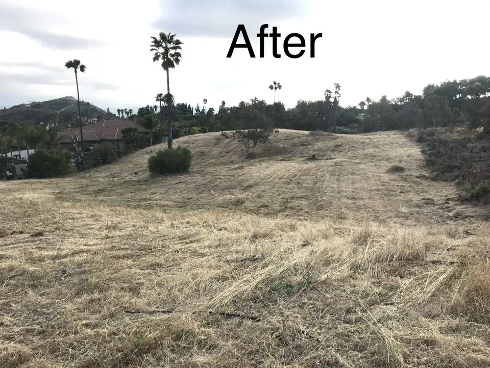 Top-rated yard maintenance for residential properties in Fallbrook, CA by San Diego Weed Mowing