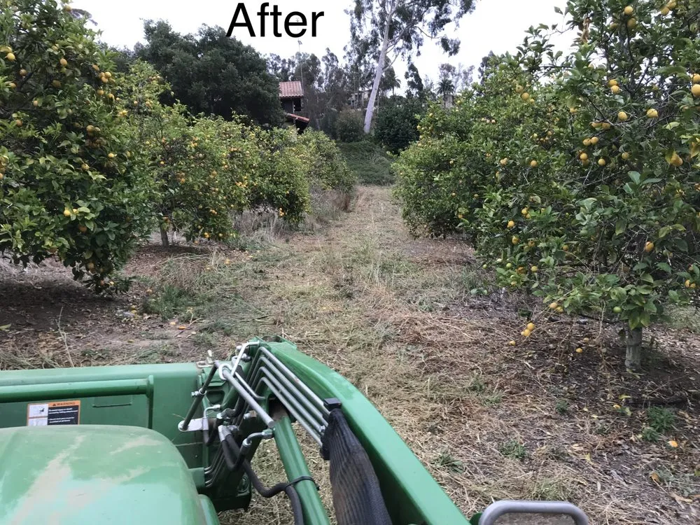 Affordable yard maintenance for year-round maintenance across Fallbrook, CA - San Diego Weed Mowing