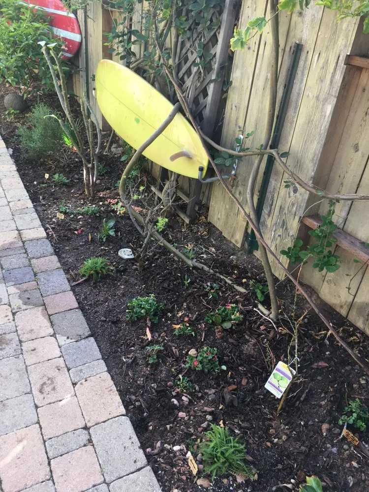 Reliable landscaping services for homes in San Diego, CA by San Diego Wildflower Gardens