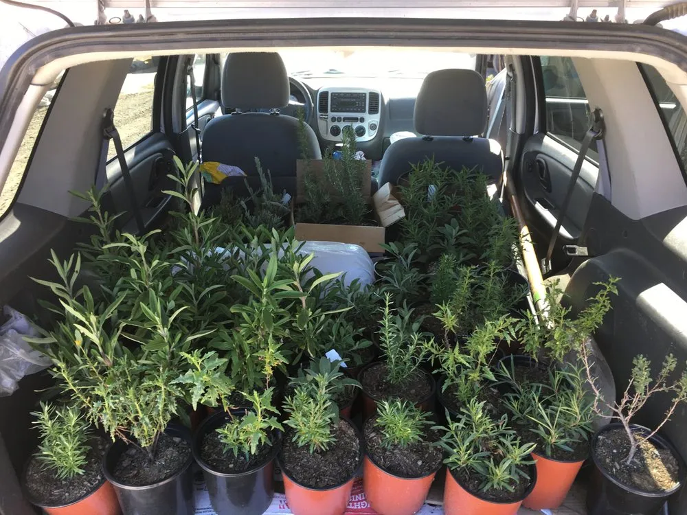 Top-rated landscape design for residential properties in San Diego, CA by San Diego Wildflower Gardens