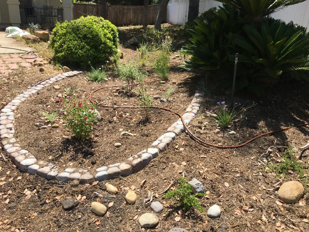 Reliable landscape installation for beautiful yards across San Diego, CA - San Diego Wildflower Gardens