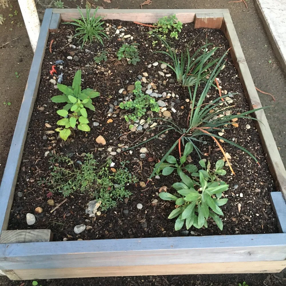 Affordable lawn care service experts serving San Diego, CA - San Diego Wildflower Gardens