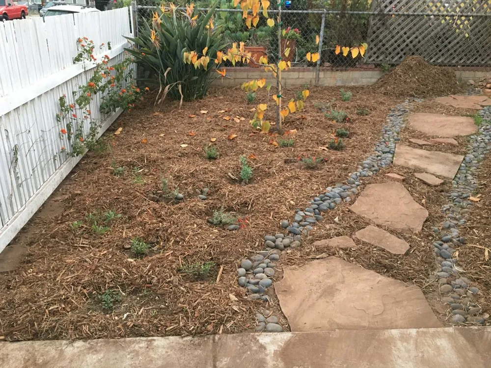 Expert garden landscaping in San Diego, CA - San Diego Wildflower Gardens