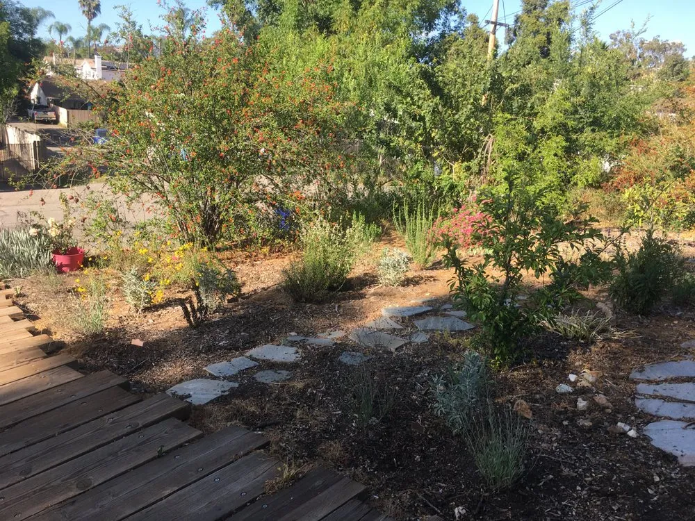 Reliable landscape design for residential properties in San Diego, CA by San Diego Wildflower Gardens