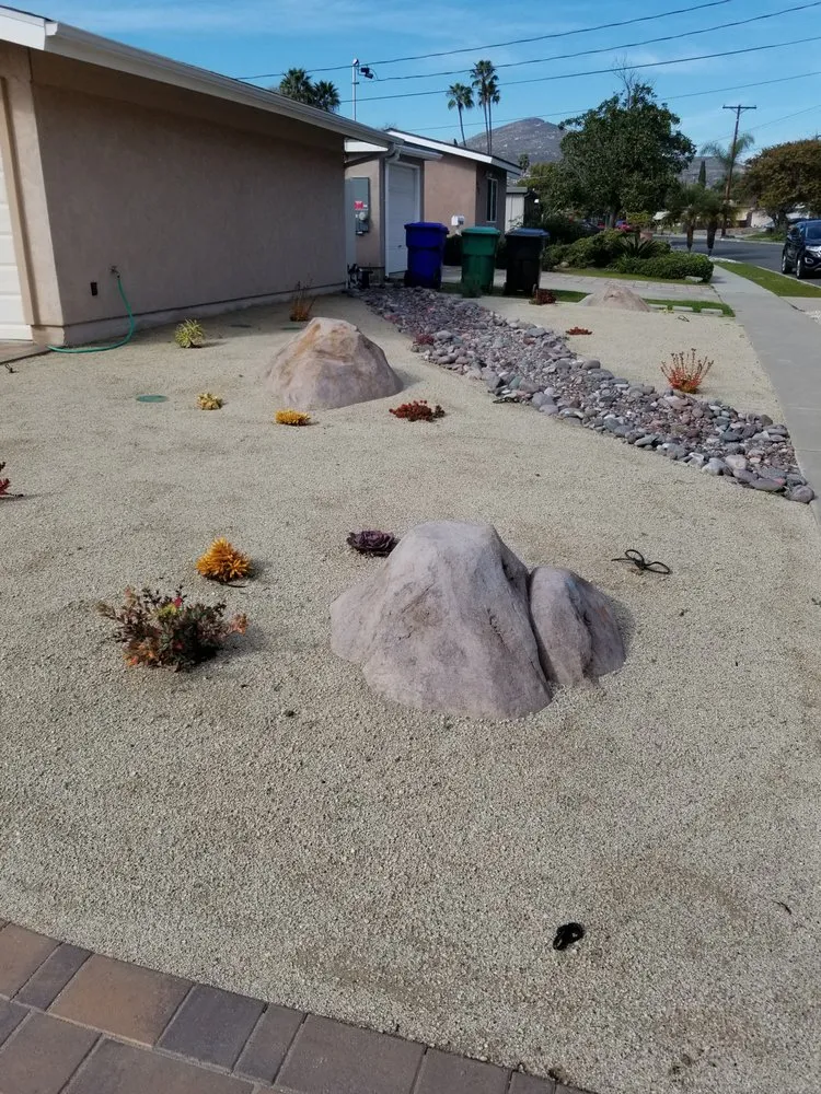 Reliable yard cleanup service in Escondido, CA - San Diego Xscape