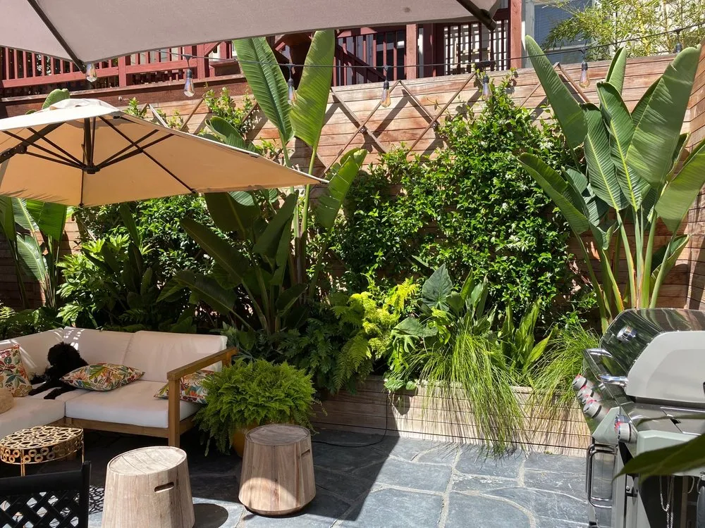 Trusted residential landscaping in San Francisco, CA - San Francisco Garden Man