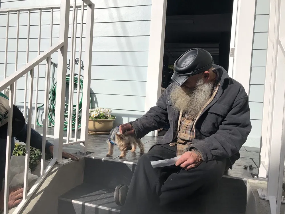 Professional yard cleanup service experts serving San Francisco, CA - San Francisco Garden Man