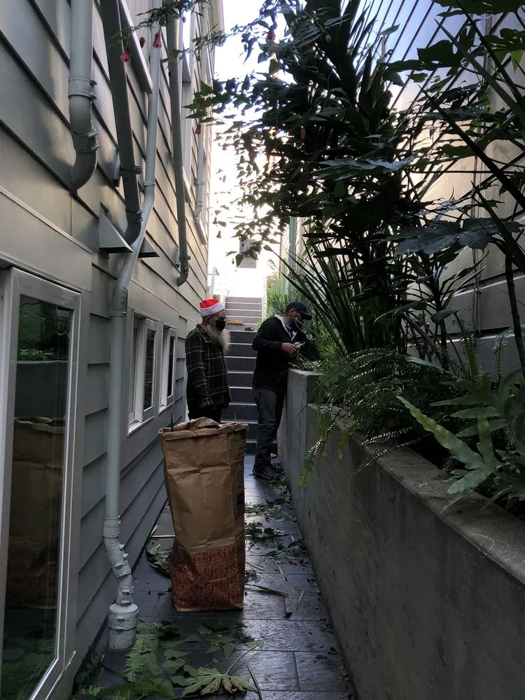 Trusted garden landscaping in San Francisco, CA - San Francisco Garden Man