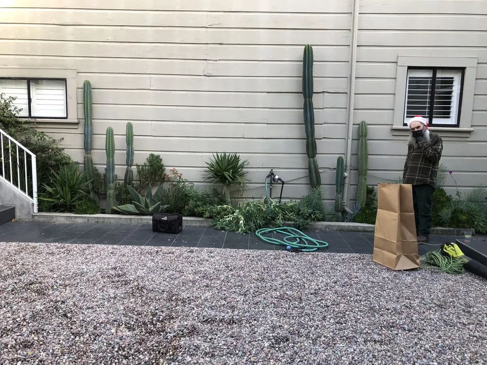 Professional landscape design experts serving San Francisco, CA - San Francisco Garden Man