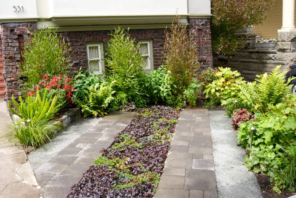 Professional landscape design in San Francisco, CA by San Francisco Green Spaces