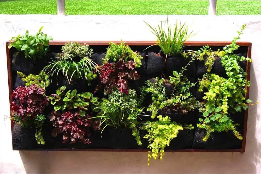 Custom lawn care service in San Francisco, CA by San Francisco Green Spaces