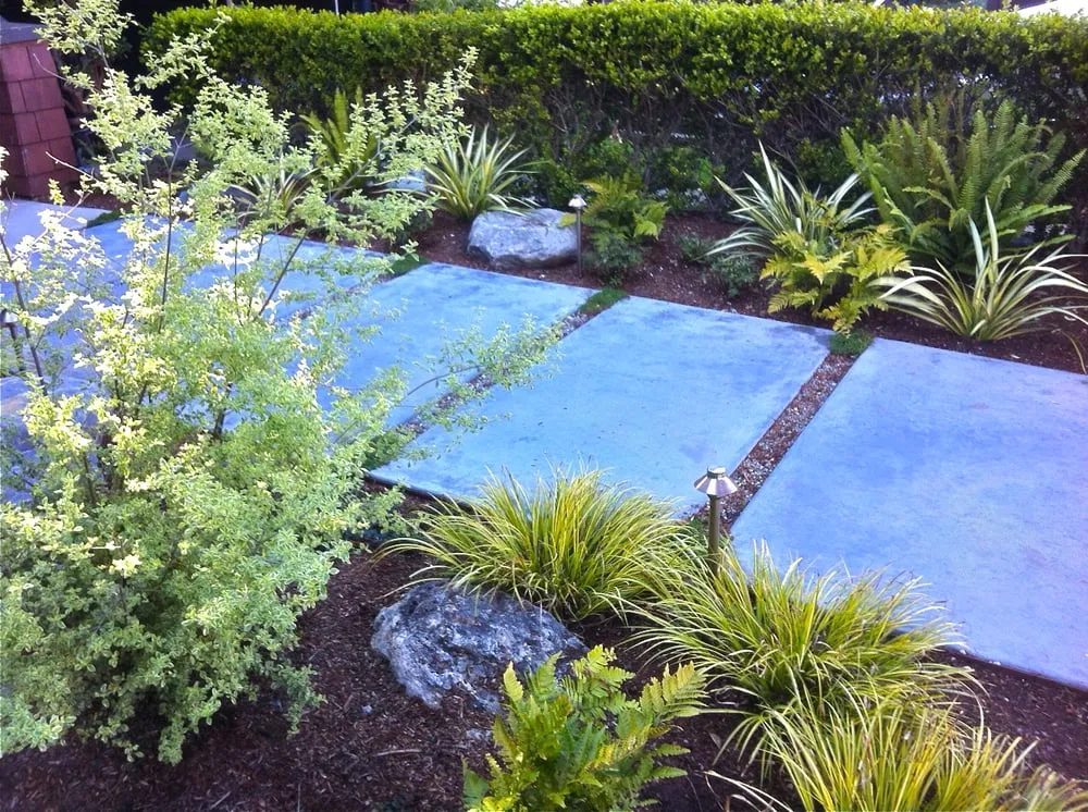 Top-rated yard cleanup service for beautiful yards across San Francisco, CA - San Francisco Green Spaces