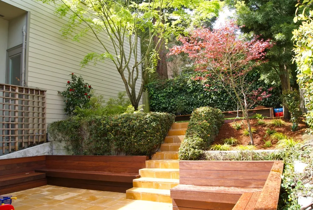 Expert landscaping services experts serving San Francisco, CA - San Francisco Green Spaces