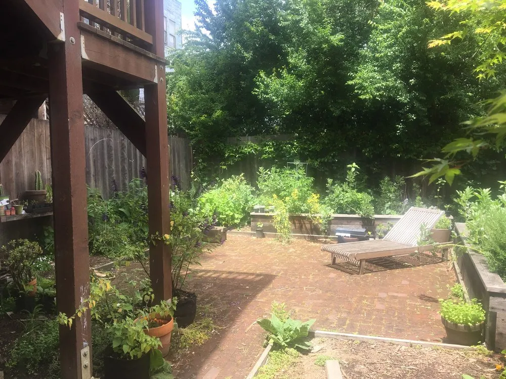 Expert yard maintenance in San Francisco, CA - San Francisco Landscapes