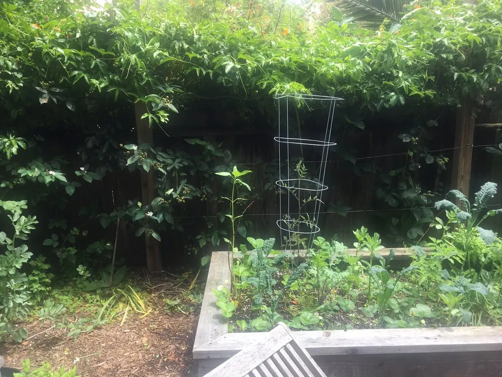 Top-rated outdoor landscaping near you in San Francisco, CA by San Francisco Landscapes