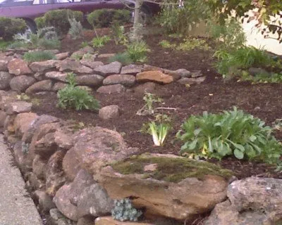 Custom outdoor landscaping experts serving San Francisco, CA - San Francisco Landscapes