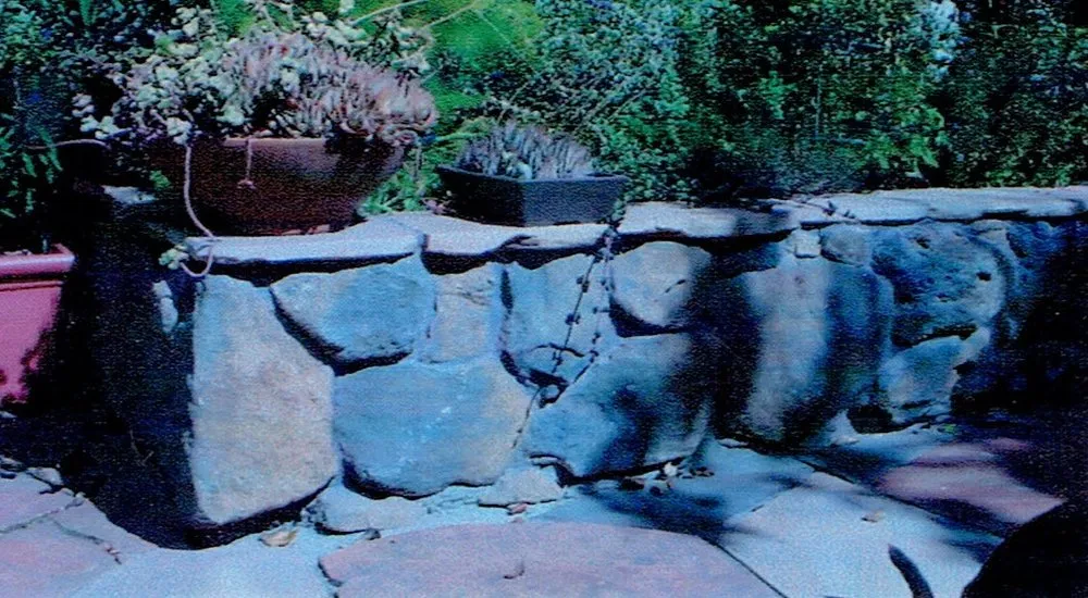 Top-rated lawn care service experts serving San Francisco, CA - San Francisco Landscapes