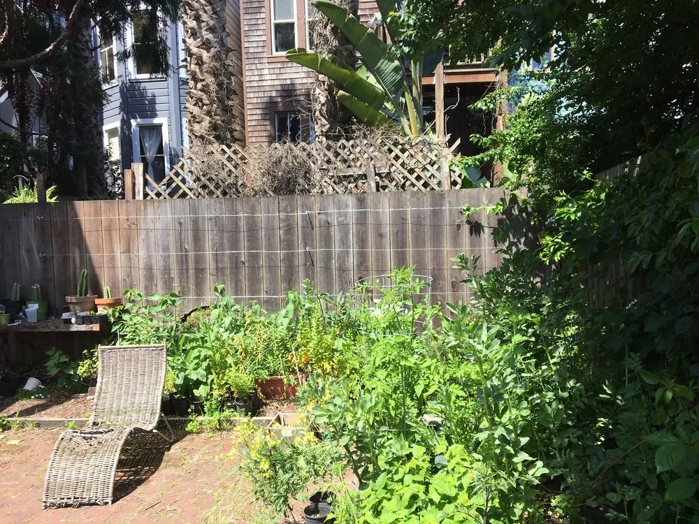 Custom landscaping services for residential properties in San Francisco, CA by San Francisco Landscapes