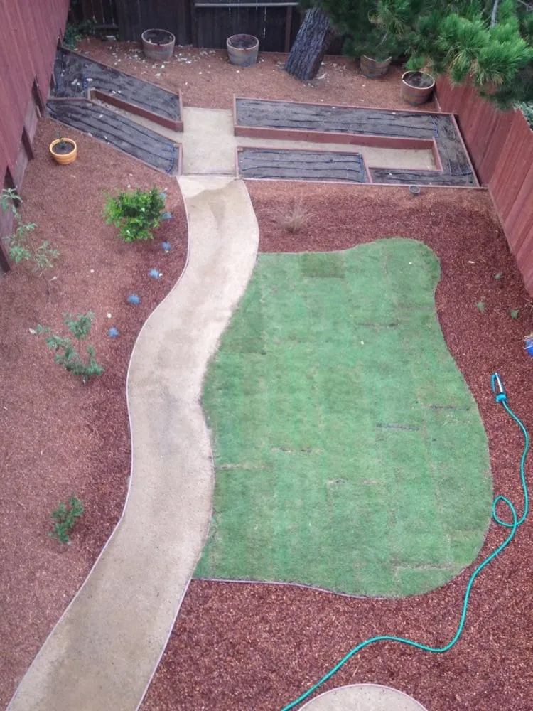 Affordable lawn care service experts serving San Francisco, CA - San Francisco Landscapes