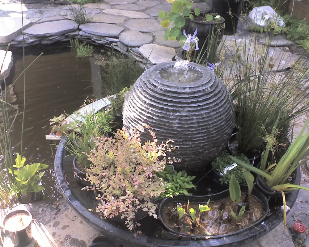 Trusted landscaping services for residential properties in San Francisco, CA by San Francisco Landscapes