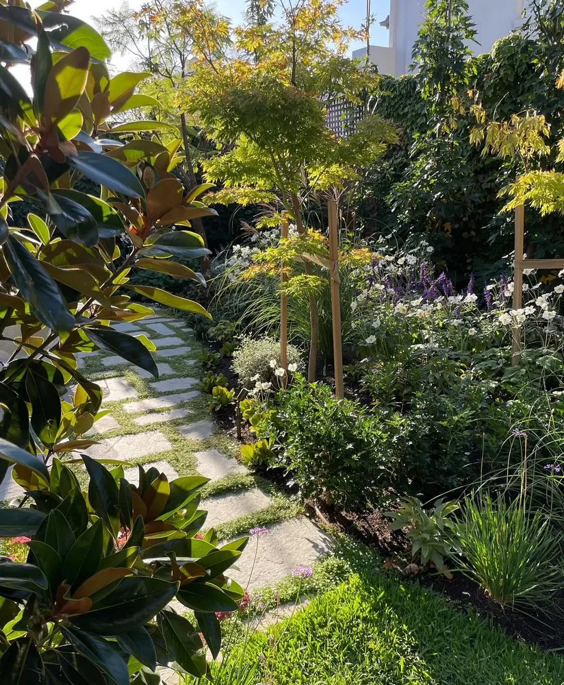 Expert yard cleanup service in San Francisco, CA - San Francisco Landscaping