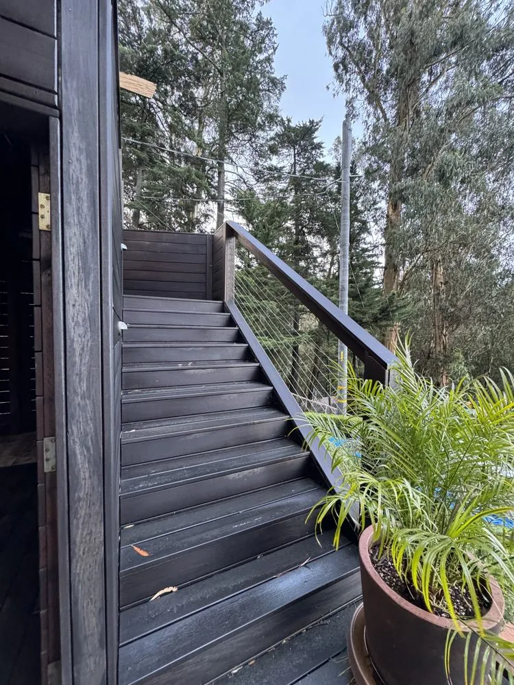 Expert yard cleanup service in San Francisco, CA by San Francisco Landscaping